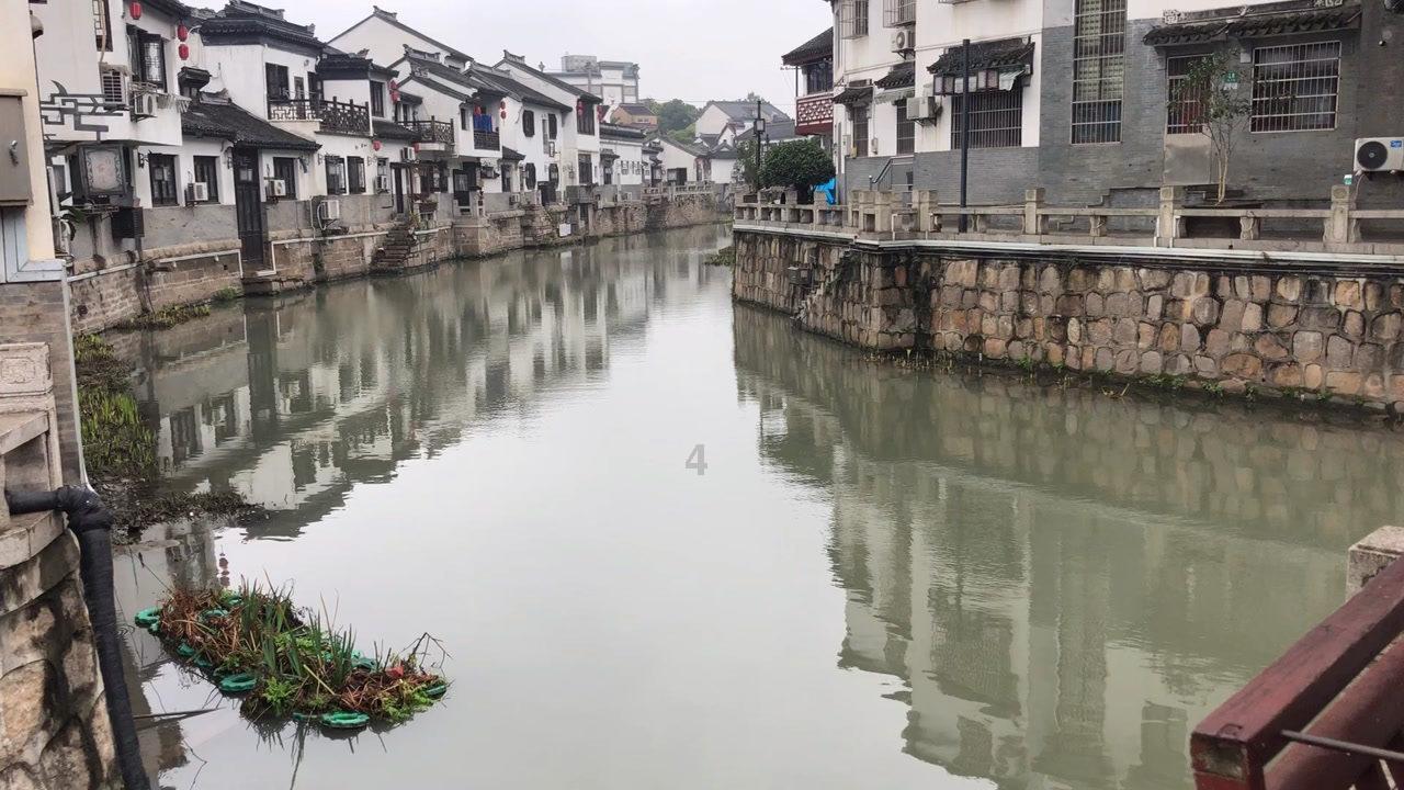 逗小猴开心系列196